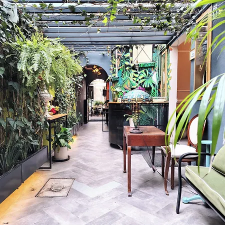 Casa Panuco