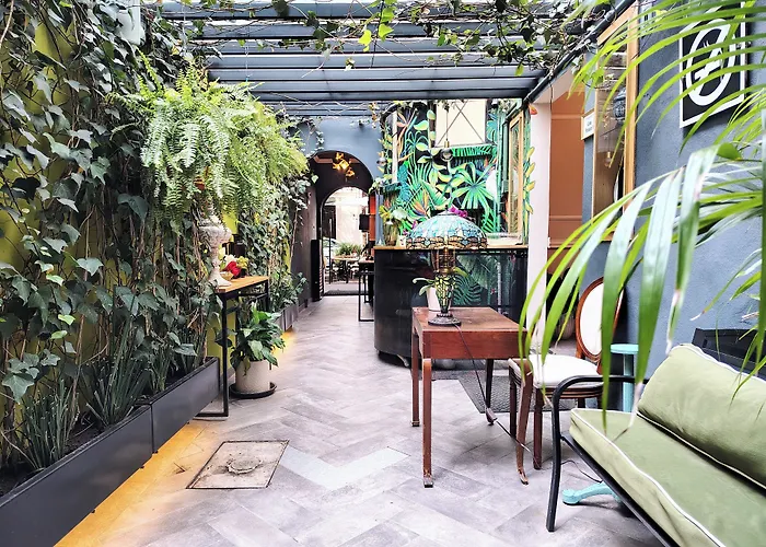 Casa Panuco 3*